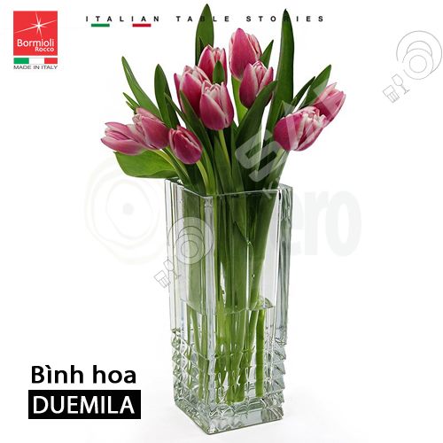 Bình hoa thủy tinh Duemila - Hàng nhập khẩu