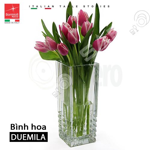 Bình hoa thủy tinh Duemila (Bormioli Rocco)- Hàng nhập khẩu