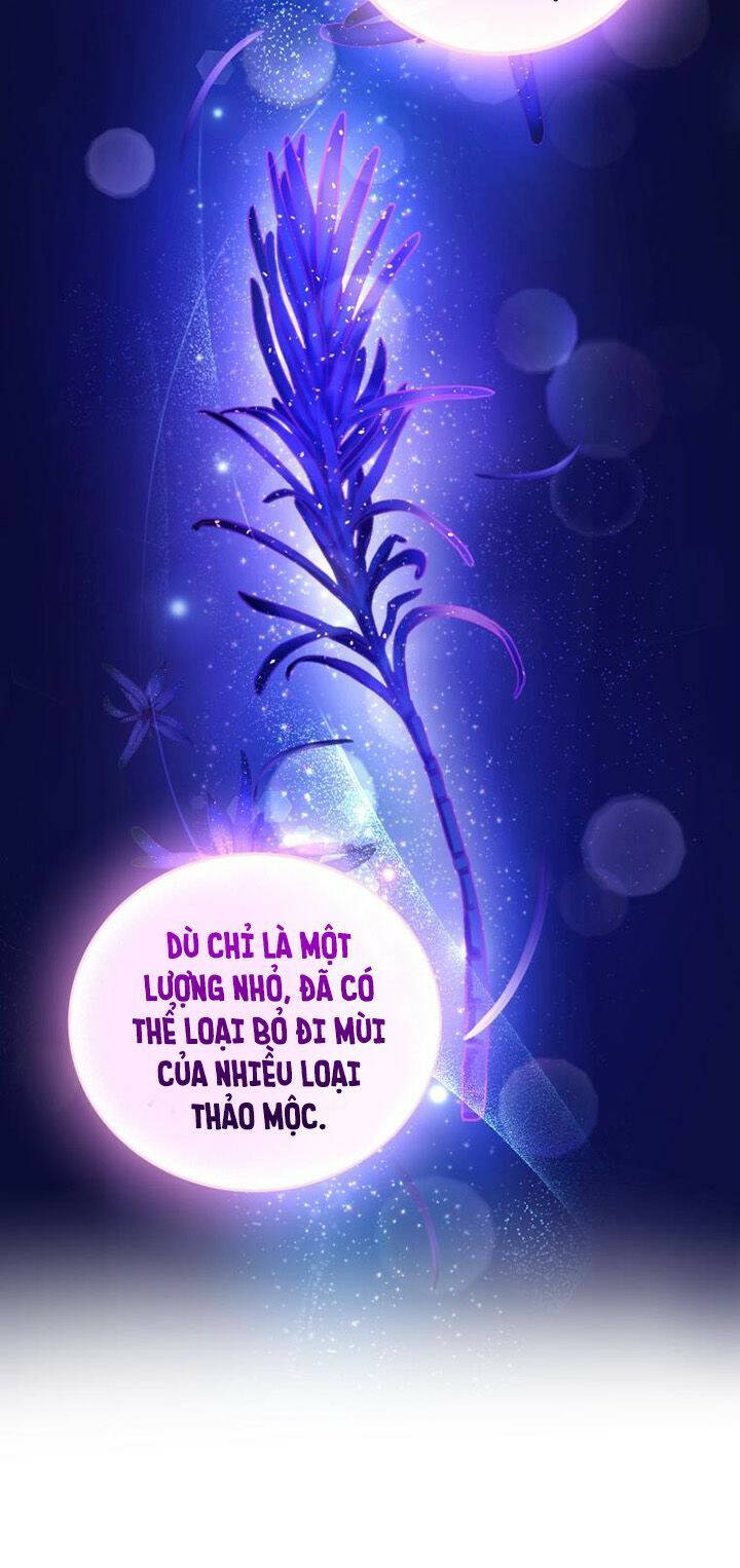 nhà điều chế nước hoa độc quyền của bạo chúa chapter 62 30