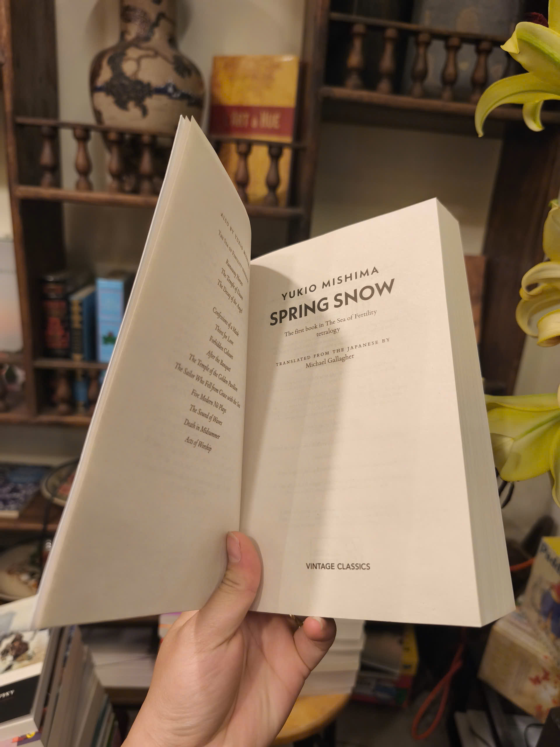 Sách - Spring Snow by Yukio Mishima | Japanese Historical Fiction / Classics / Ngoại văn Nhập khẩu