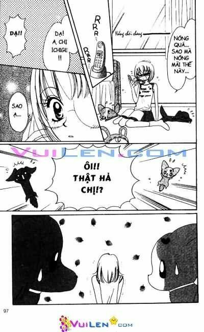 bộ sưu tầm lọ lem chapter 4 97