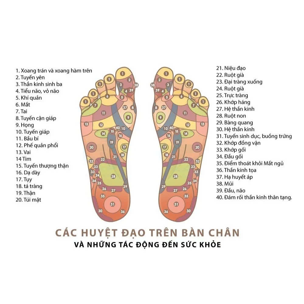 Dụng Cụ day ấn Huyệt Mát xa toàn thân kiểu Thái bằng gỗ Chăm sóc sức khỏe