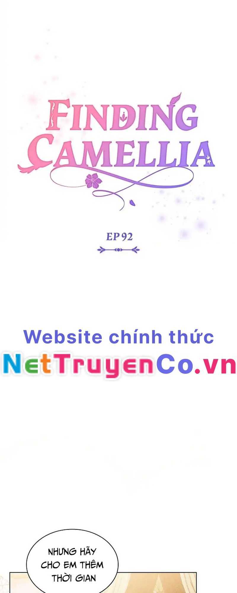 tìm lại camellia chapter 92 22