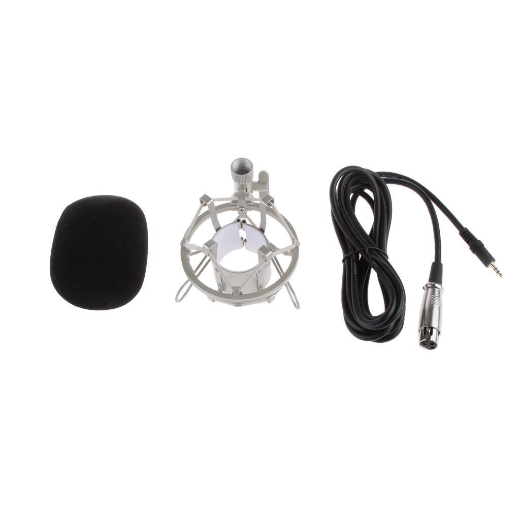 BM700 Condenser Microphone Shock Holder Vocal Mic Studio Sound Record Pink
