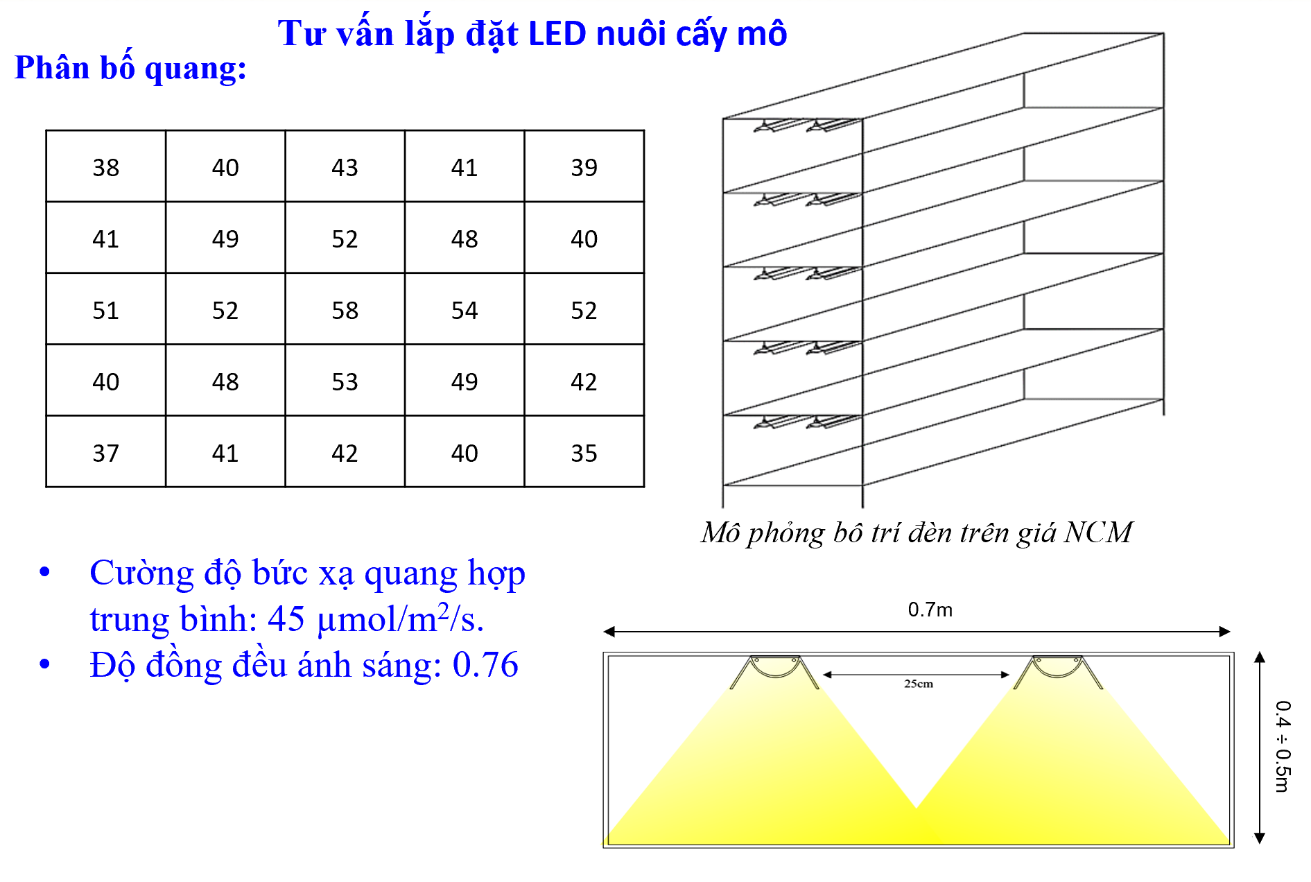 Đèn LED ChuyênDụng Trồng Rau, Nuôi Cấy Mô Chính Hãng Rạng Đông Model TRR 120WR 25W ánh sáng trắng đỏ