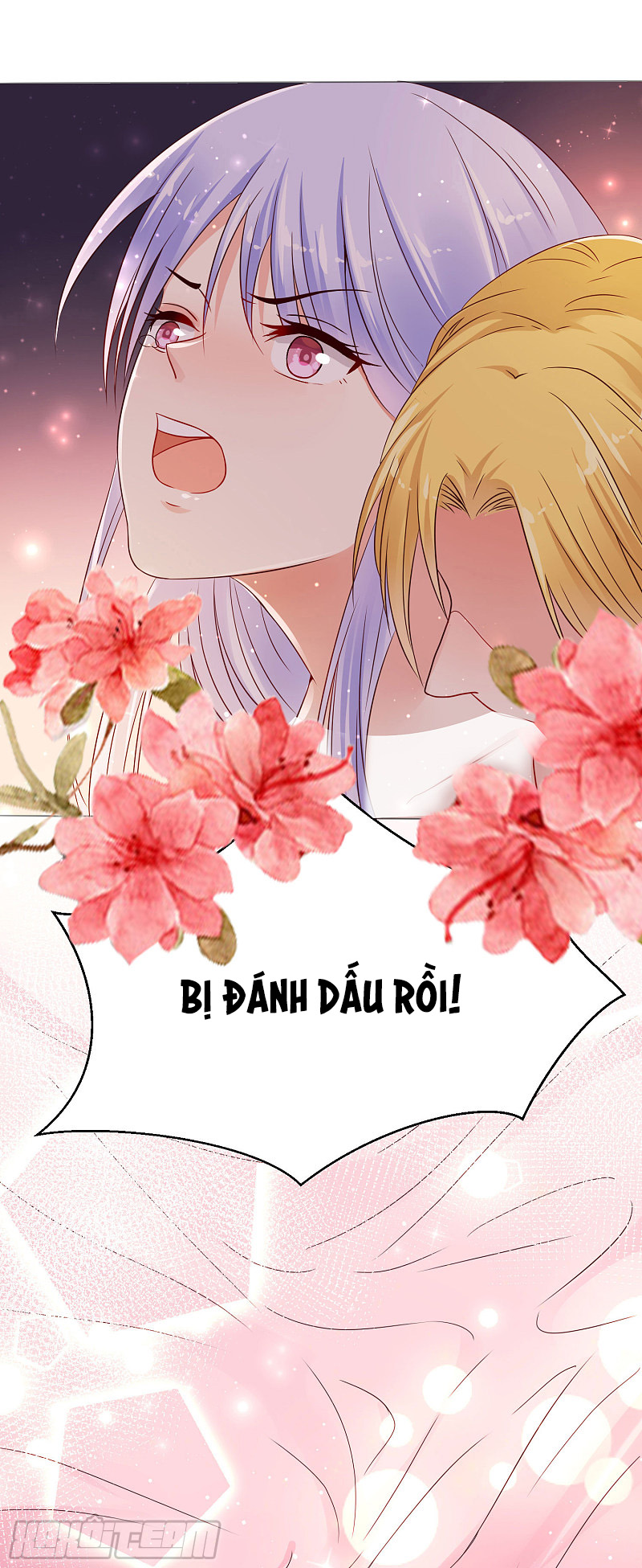 đế quốc tinh tế đệ nhất sủng hôn. chapter 3 31