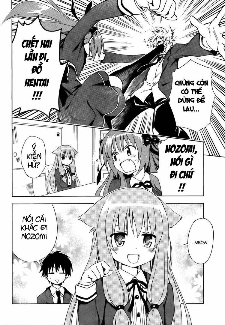 mayoi neko overrun! chapter 6 8