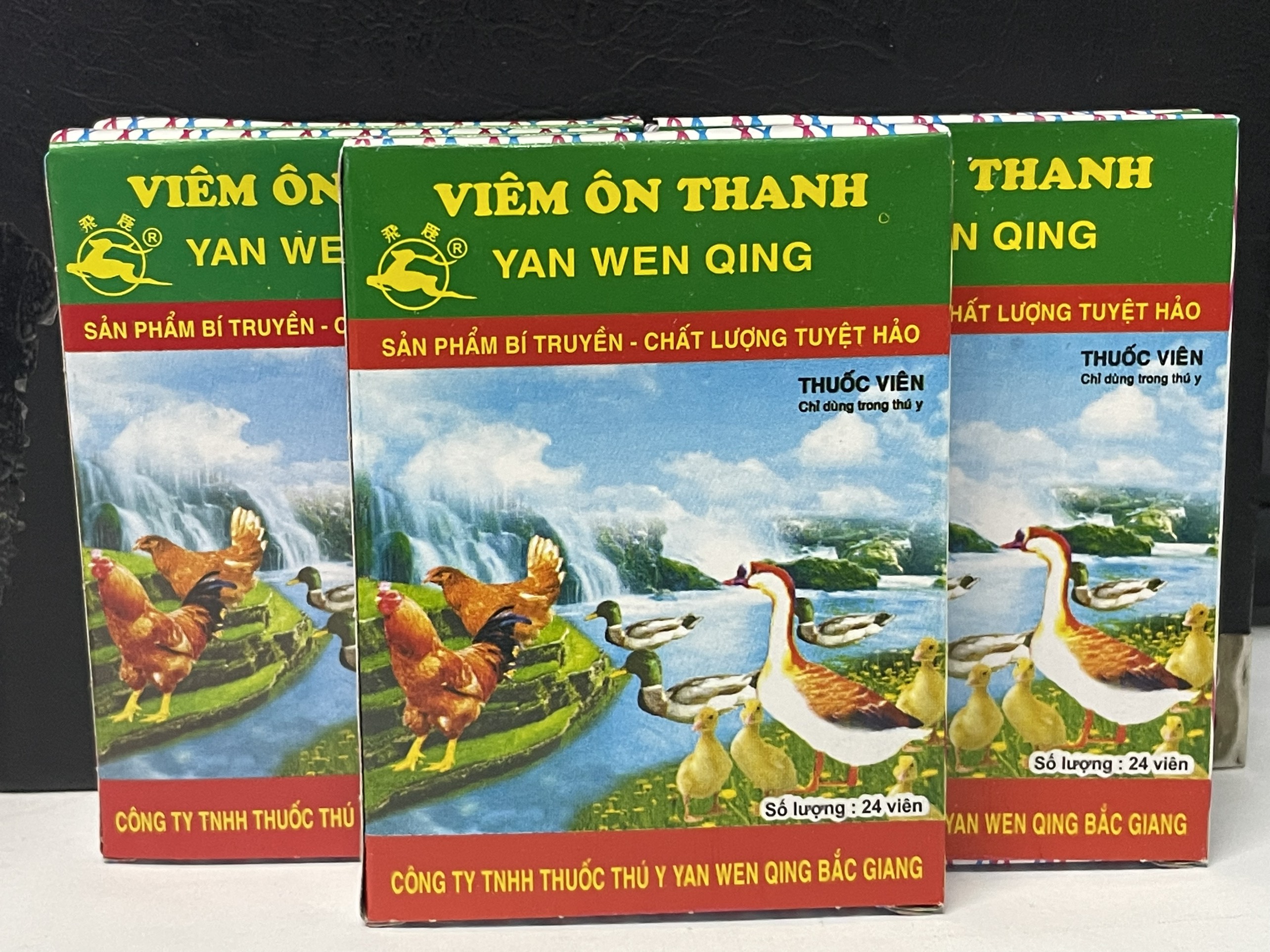 VIÊM ÔN THANH VỈ 24 VIÊN