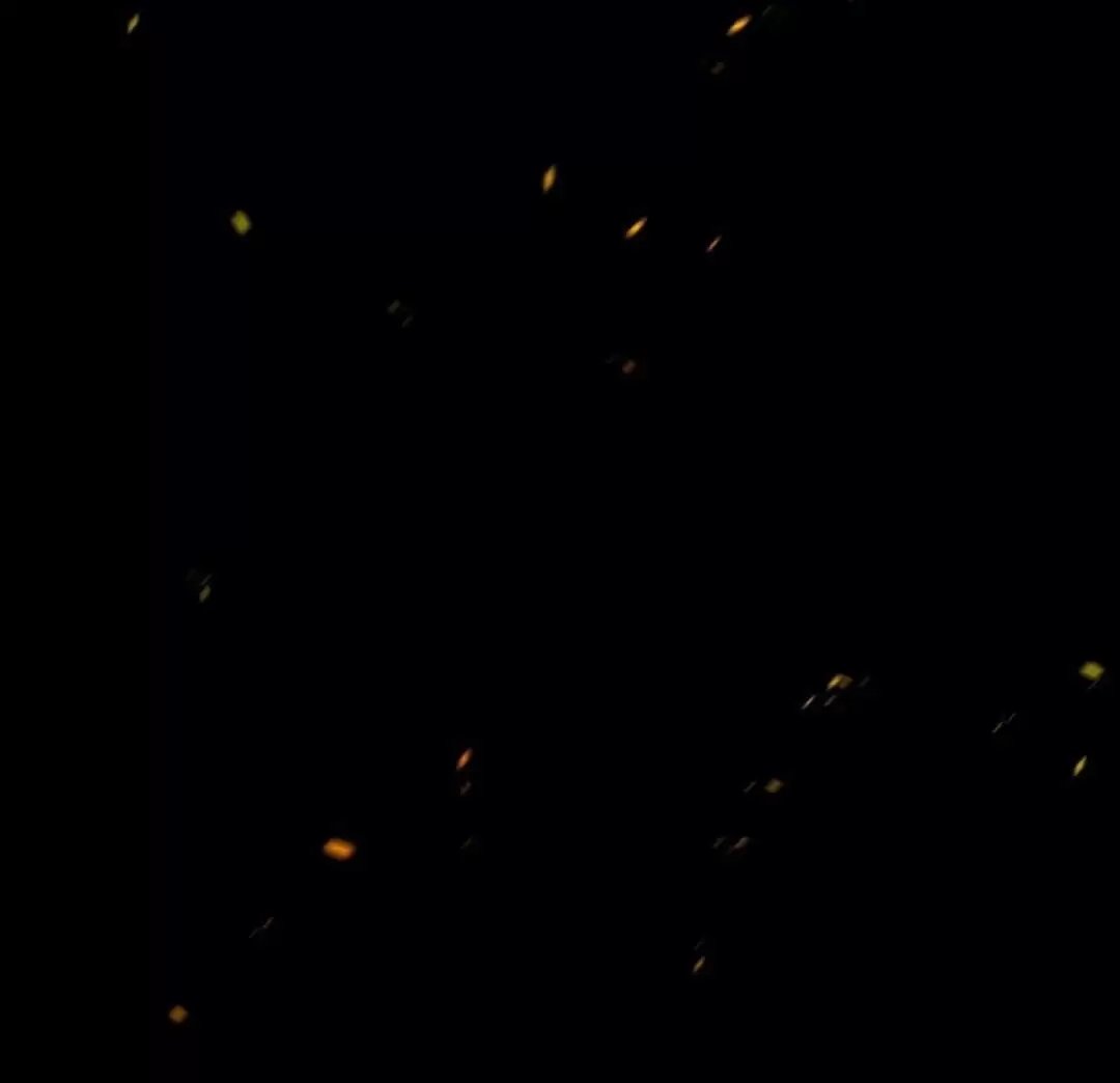 liveta chapter 23 44