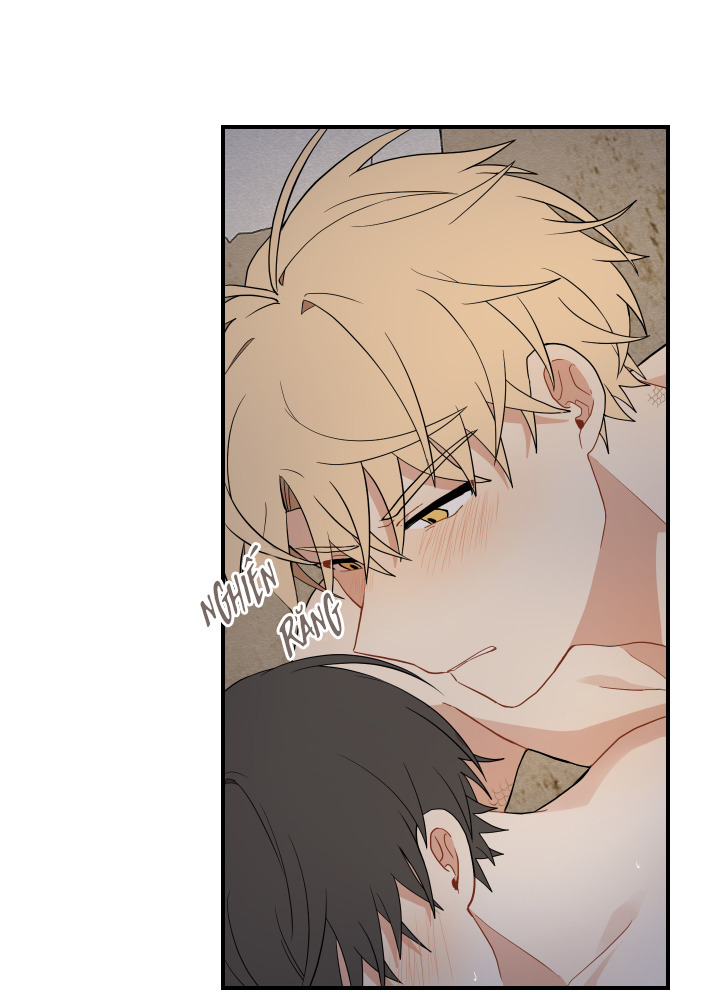 đường hoa liên kiều rơi chapter 16 57