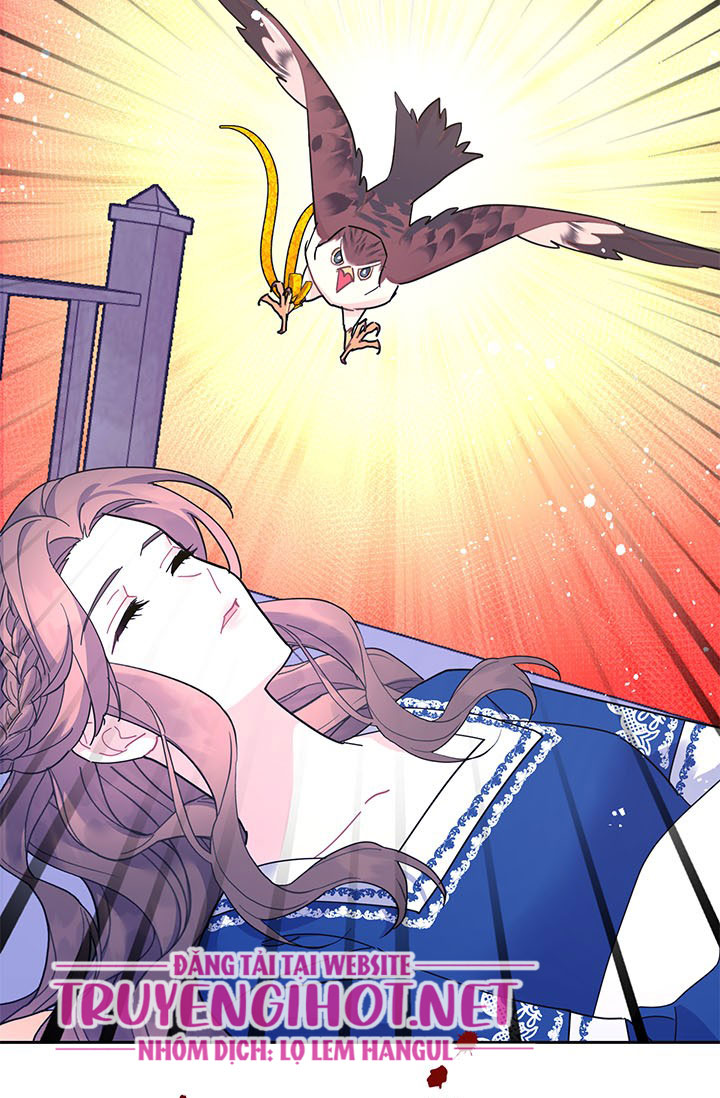 công chúa của loài chim chapter 36.2 35