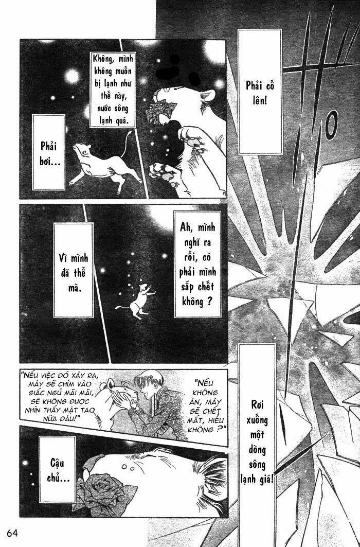 wild cats chapter 1 67