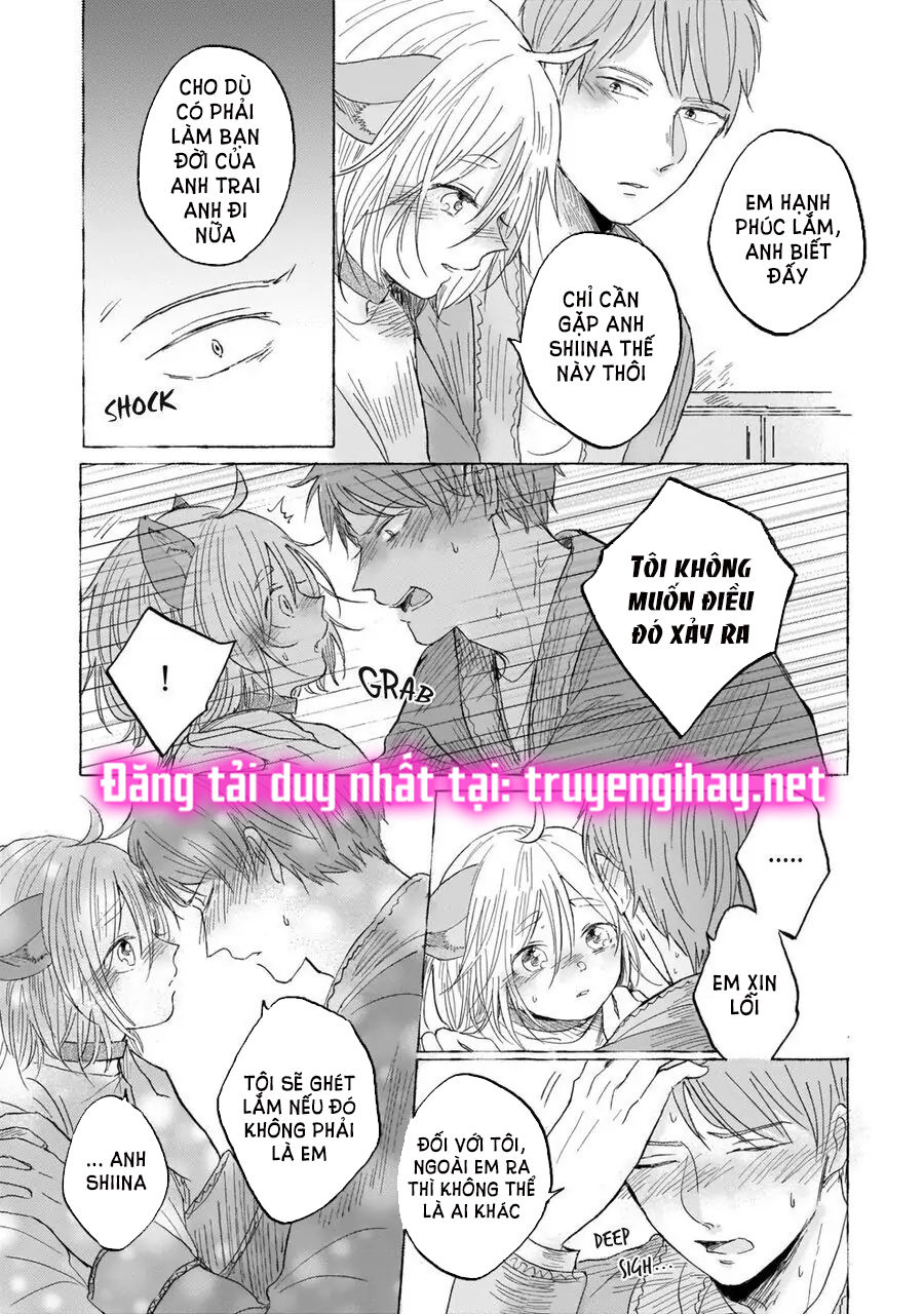 neko mimi omegaverse chapter 6.2 5