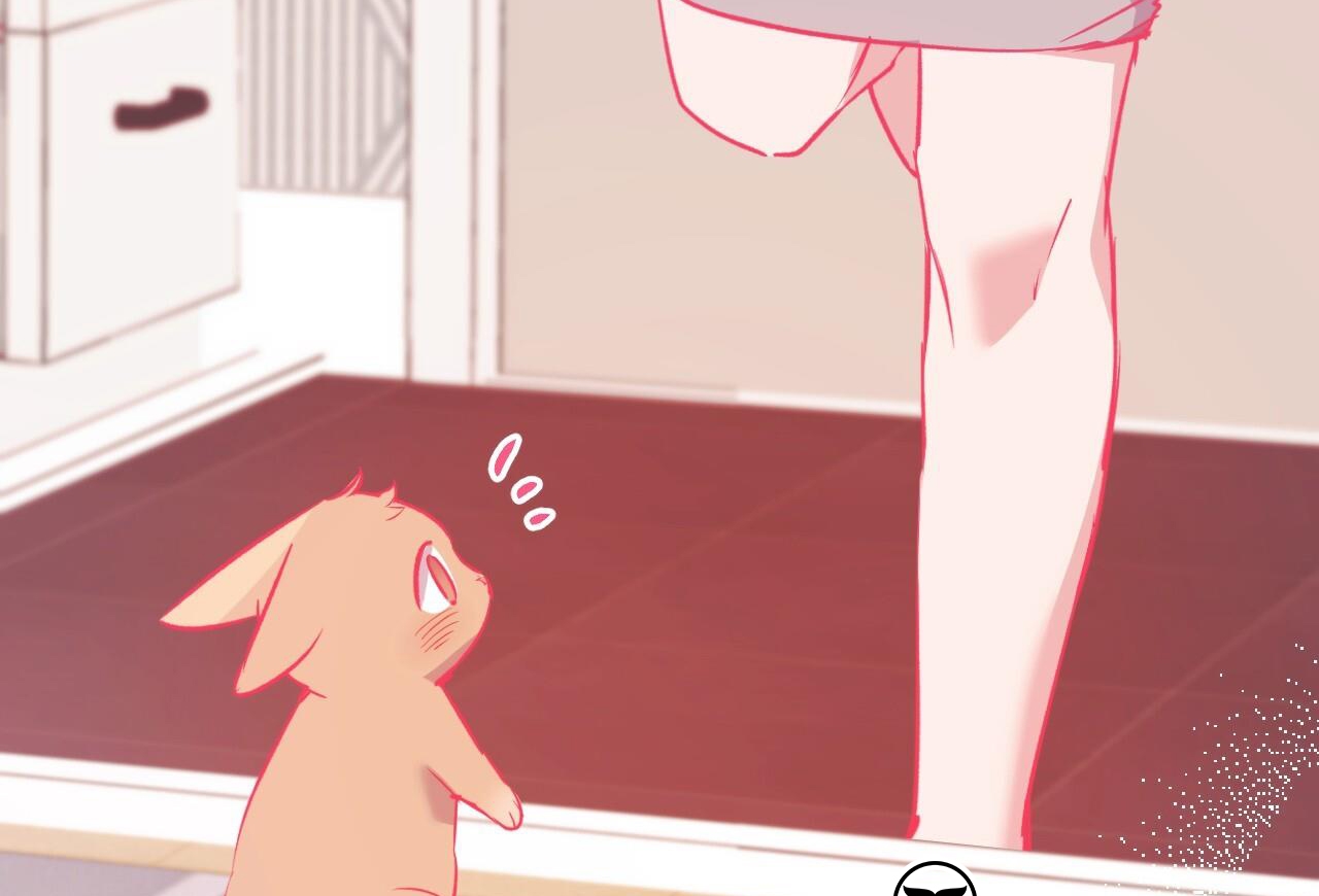 đàn thỏ của habibi chapter 65 210