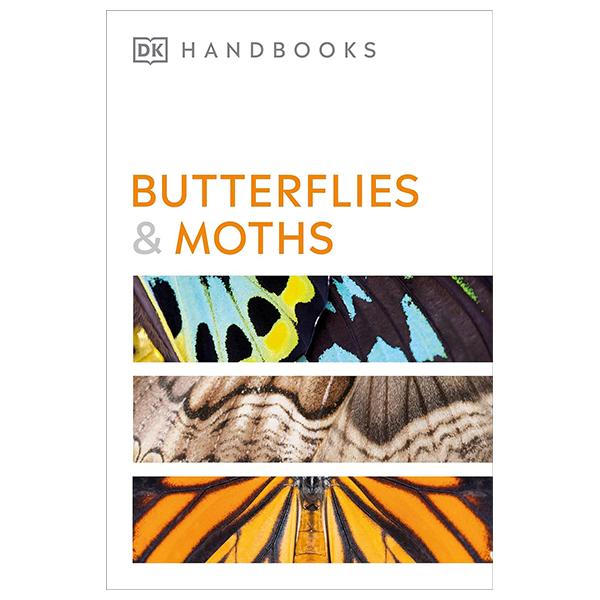 Sách ngoại văn: Butterflies And Moths