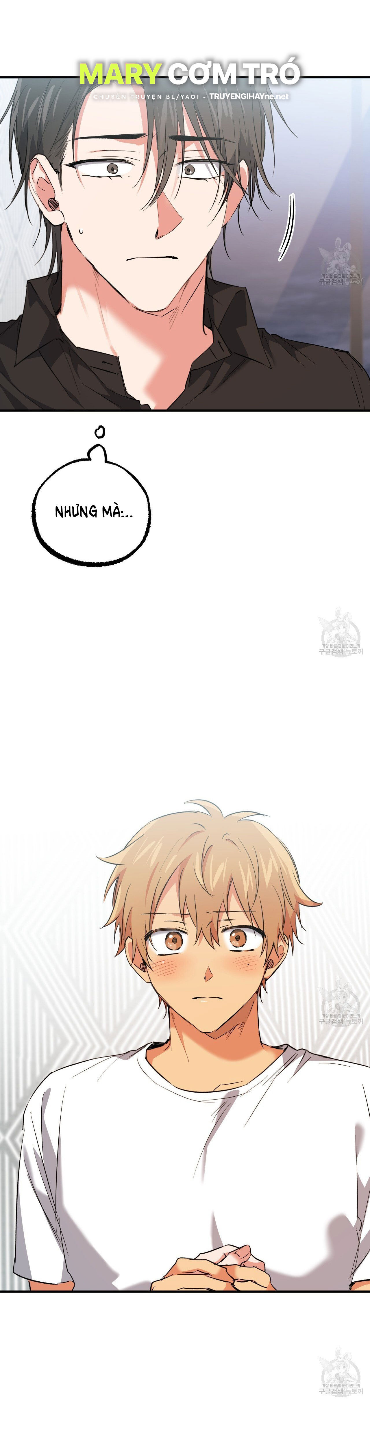 những chú thỏ của hapypy chapter 61.2 12