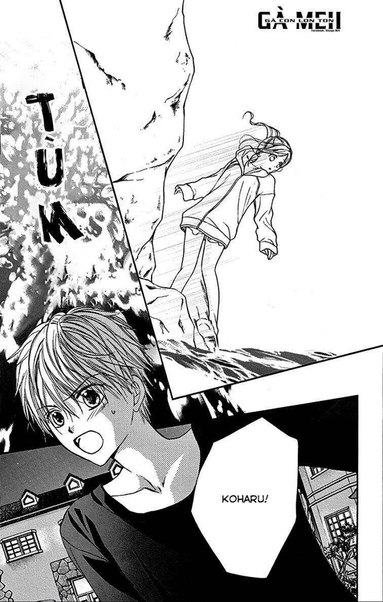 hachimitsu ni hatsukoi chapter 22 12