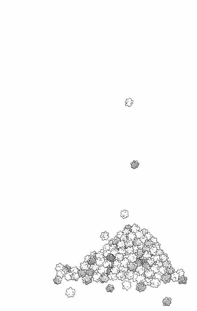 liar x liar chapter 24 25