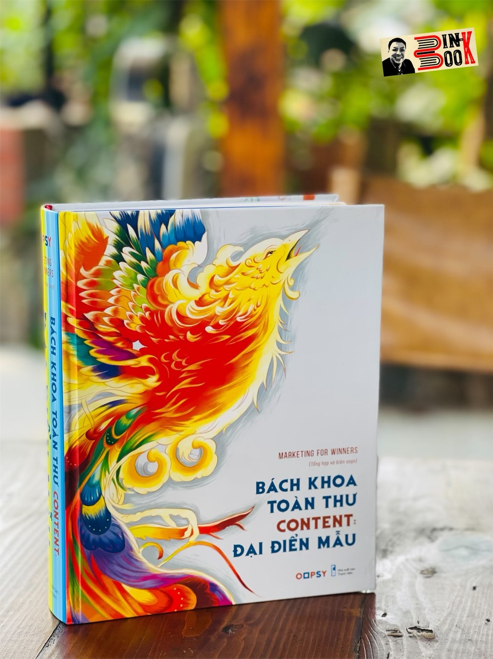 (Bìa cứng, in màu toàn bộ) BÁCH KHOA TOÀN THƯ CONTENT - ĐẠI ĐIỂN MẪU - Marketing for Winners - OOPSY - NXB Thanh Niên