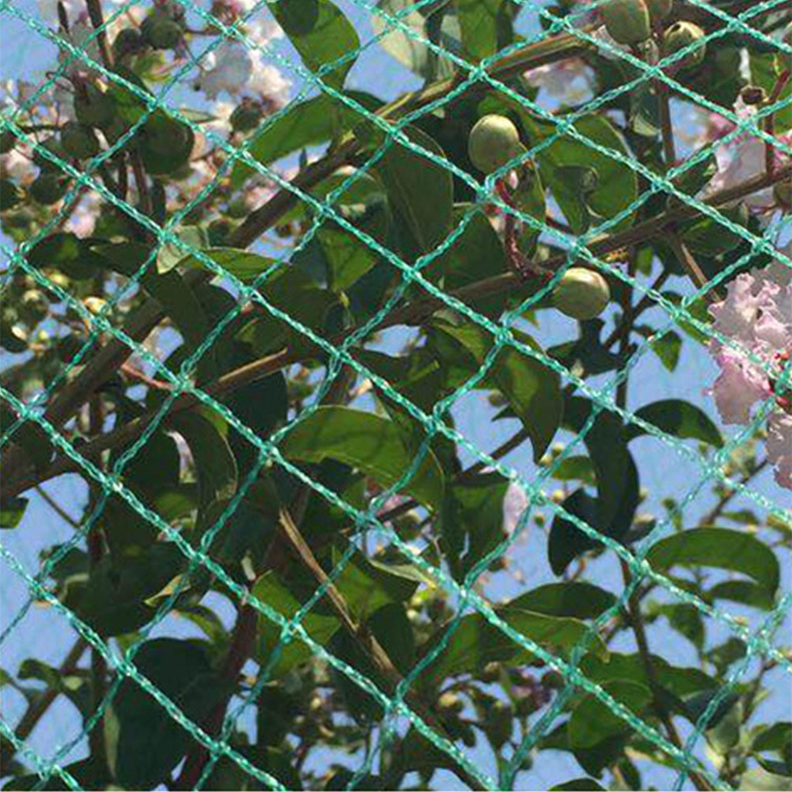 Lưới thực hành chơi gôn 3x3m, loại lưới vuông không có cọc, chất liệu PE chịu va đập cao với đặc tính chống rách tốt.