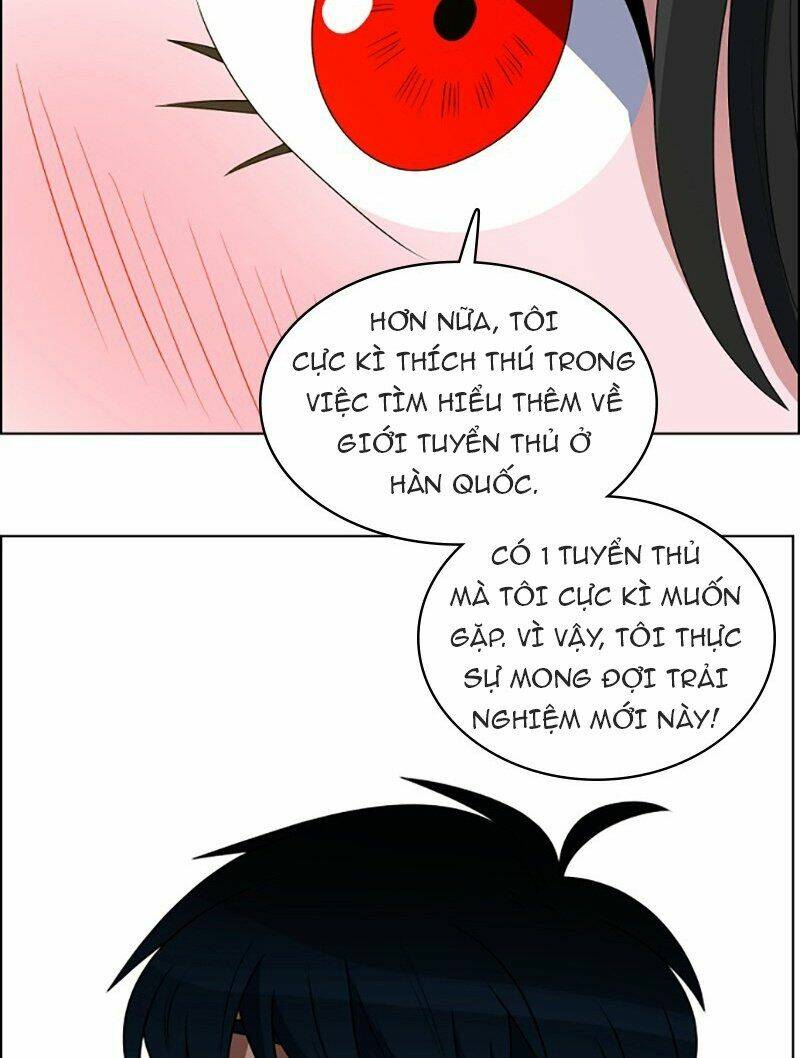 no scope chapter 88 48