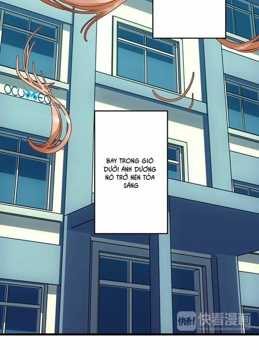 bài hát tình yêu chapter 8 34