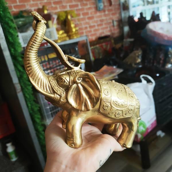 Voi Đồng Phong ThủyTrần trạch,Chiêu lộc...