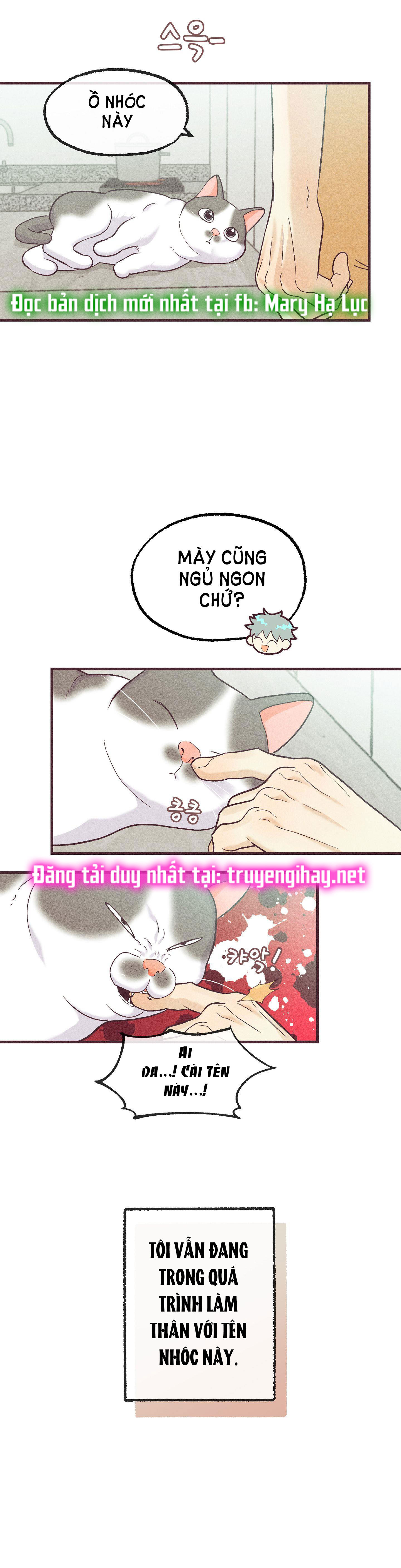 chạy đâu cho thoát chapter 47.2 6