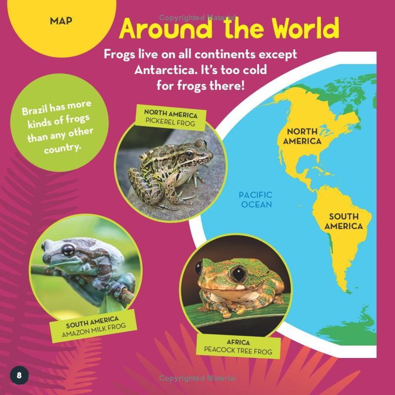 Sách ngoại văn: Go Wild! Frogs