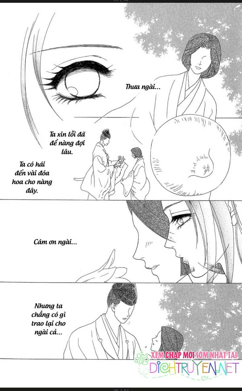 đóa hồng dành tặng seri chapter 16 29