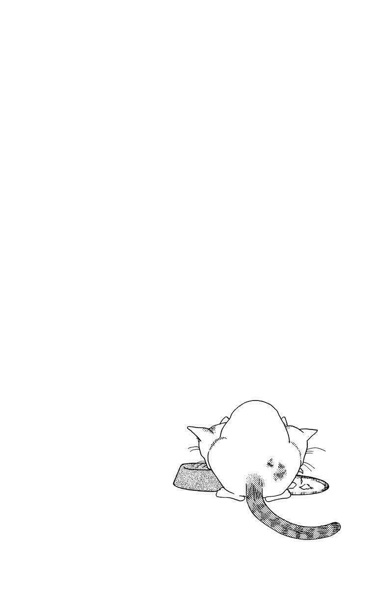 cuộc sống thường nhật của mèo zaccho chapter 1.5 34