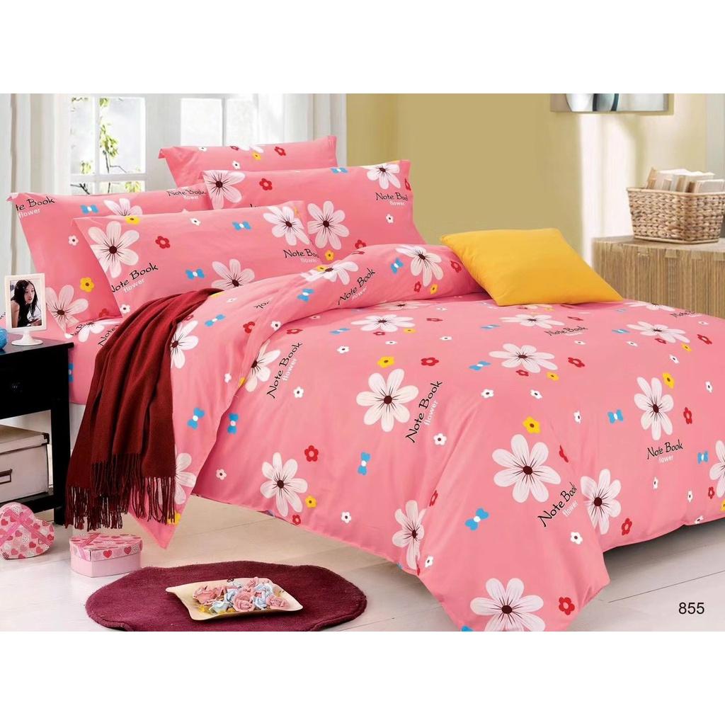 JEJUBEDDING _ Bộ chăn ga gối cotton 100% không mền