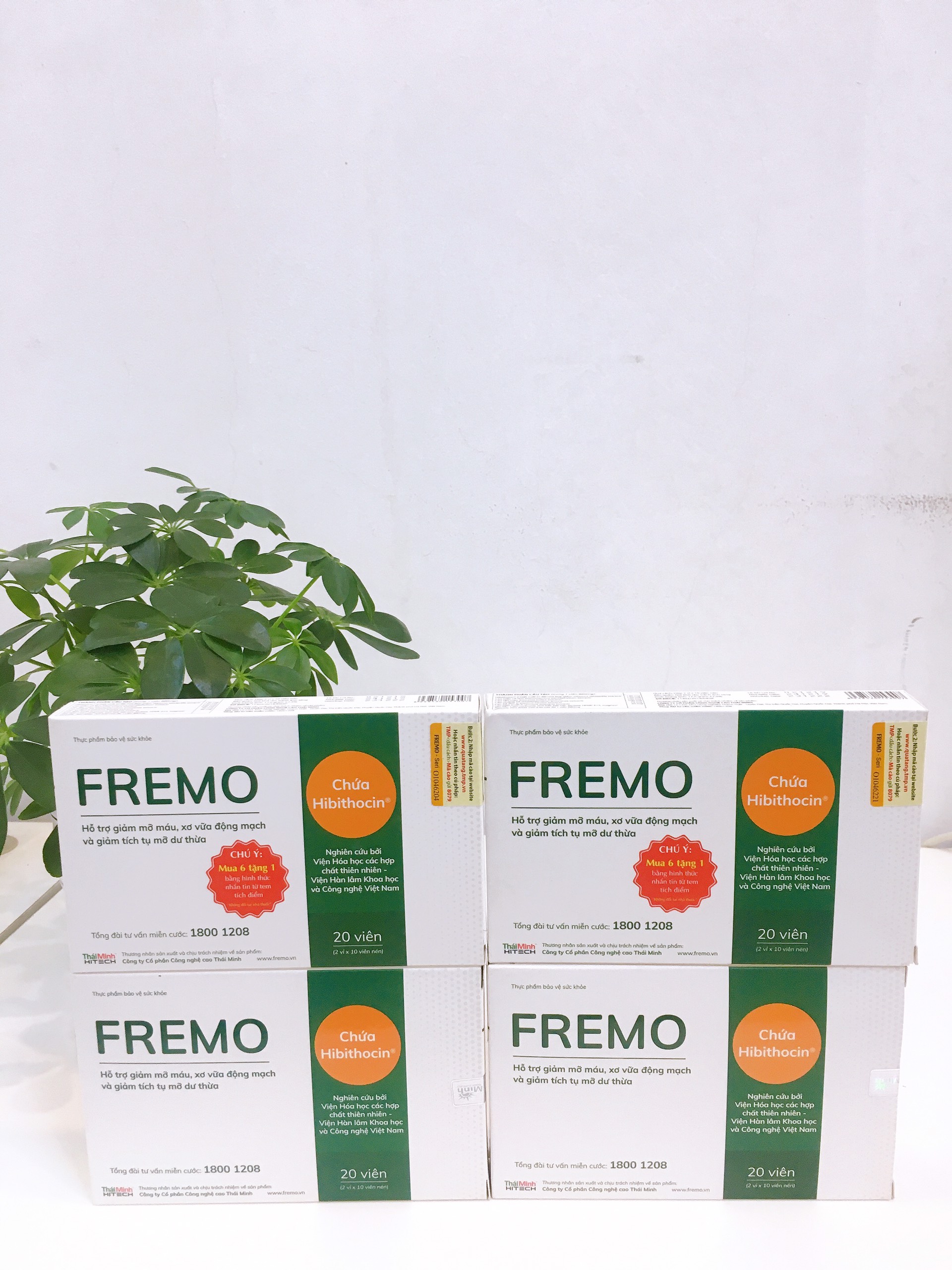 Combo 4 hộp Fremo
