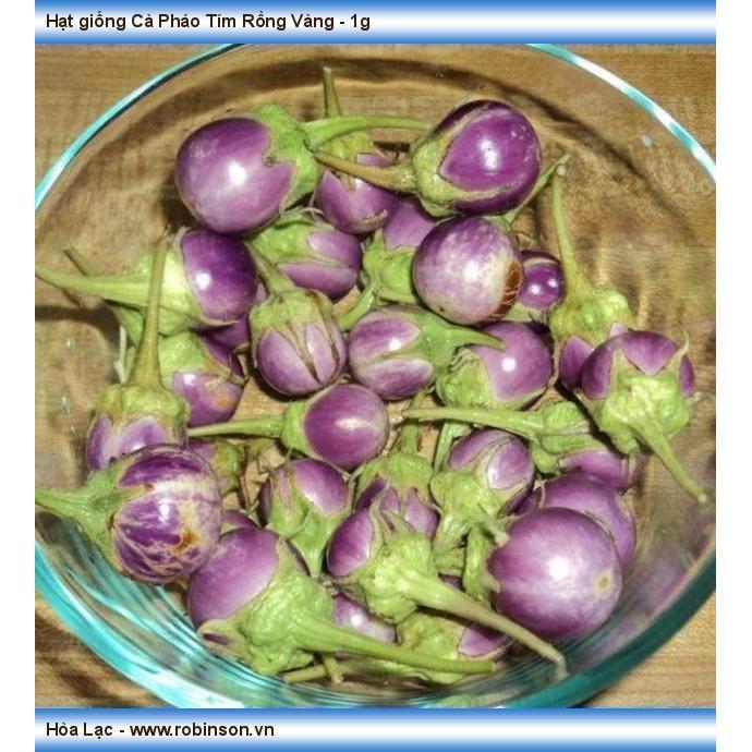 Hạt Giống Cà Pháo Tím - 1 gói 2 gram