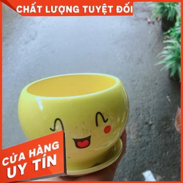 Chậu Trồng Cây