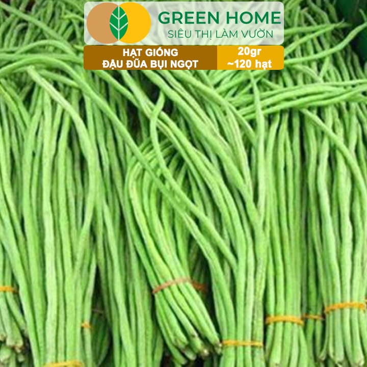 Hạt Giống Đậu Đũa Ngọt Lùn, Greenhome, Gói 20GR~120 hạt, Dễ Trồng Quanh Năm, Nảy Mầm Cao, T37