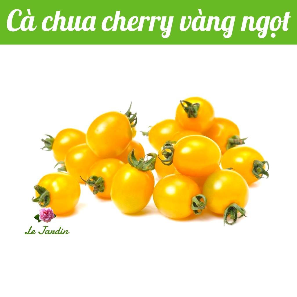 Hạt giống cà chua cherry vàng ngọt ORANGE CHARM 403 gói 5 hạt
