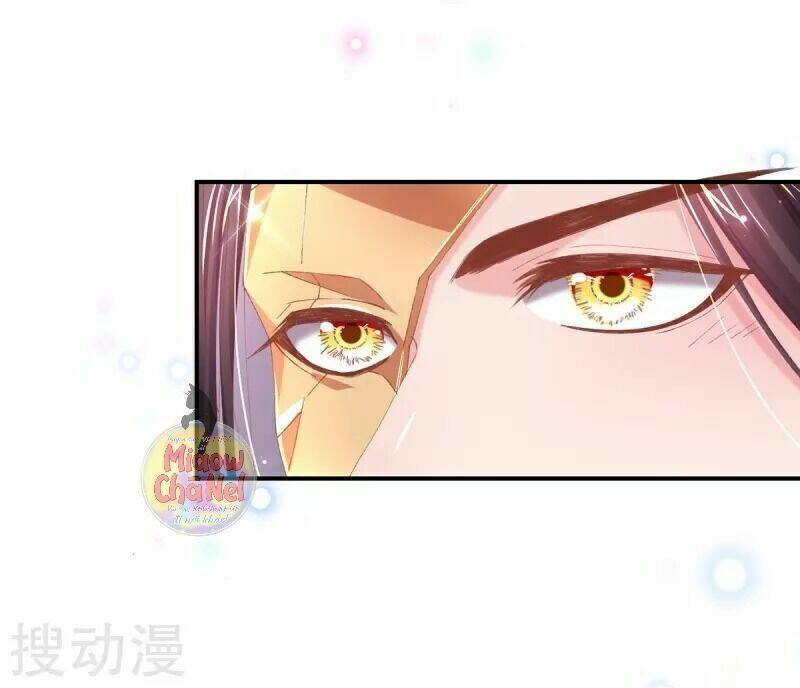 thị huyết y phi chapter 38 16