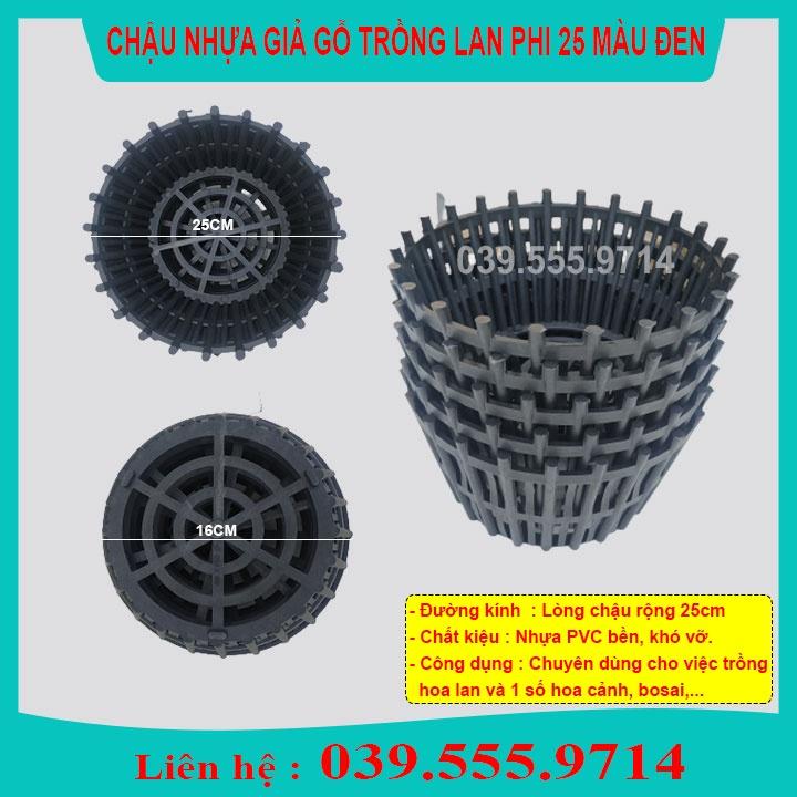 5 Chậu Nhựa Đen Trồng Lan Phi 25cm - Chậu Trồng Lan Có Lan Phụ