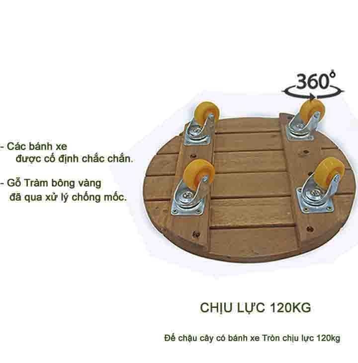 Đế lót chậu cây GREENHOME có bánh xe-TRÒN-ĐEN-Chịu lực 120 Kg-TẶNG 1 GÓI HẠT GIỐNG CẢI NGỌT PHÚ NÔNG