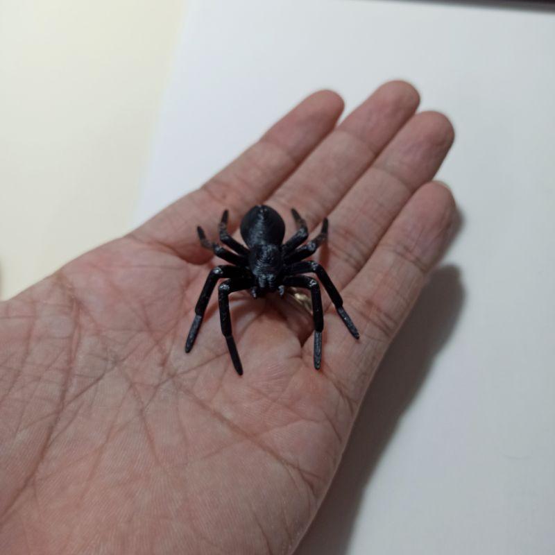 Set 5 nhện đen to 5cm mô hình nhựa, trang trí chuồng bò sát, sa bàn, bàn làm việc, halloween