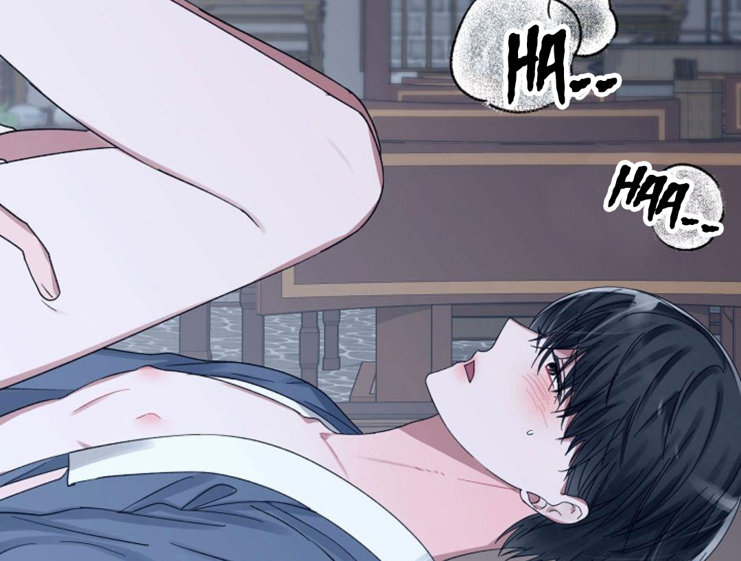 hoa triều chapter 20 49