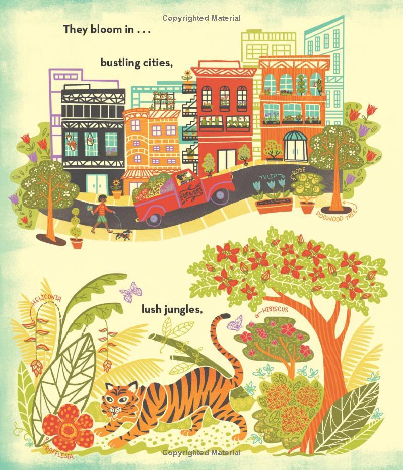 Sách ngoại văn: What's Inside A Flower?