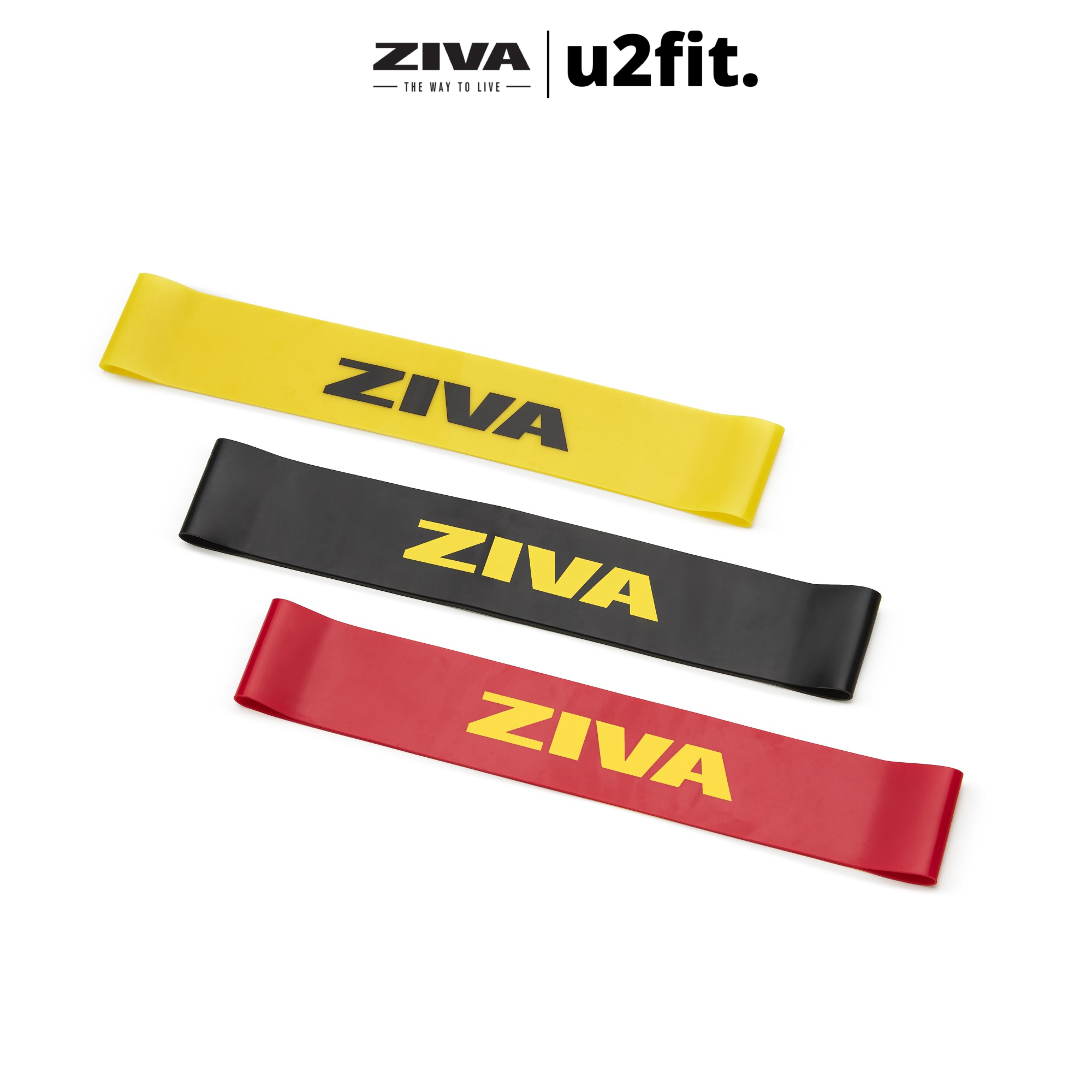 Bộ 3 Vòng Kháng Lực ZIVA Loop Resistance Band Set