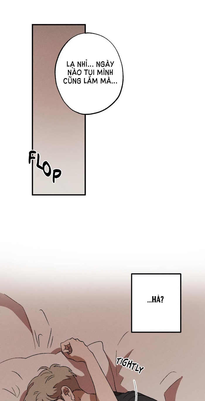 bẫy kép chapter 12 50
