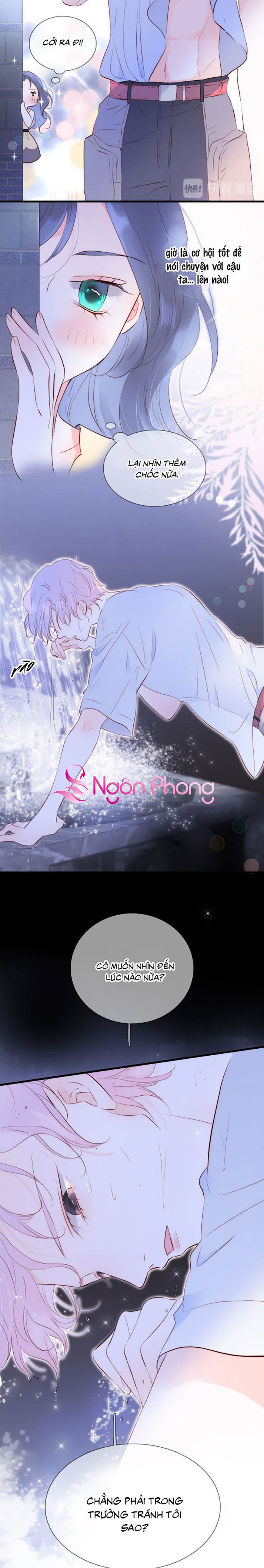 hoa bỏ chạy với nhím rồi chapter 3.2 13