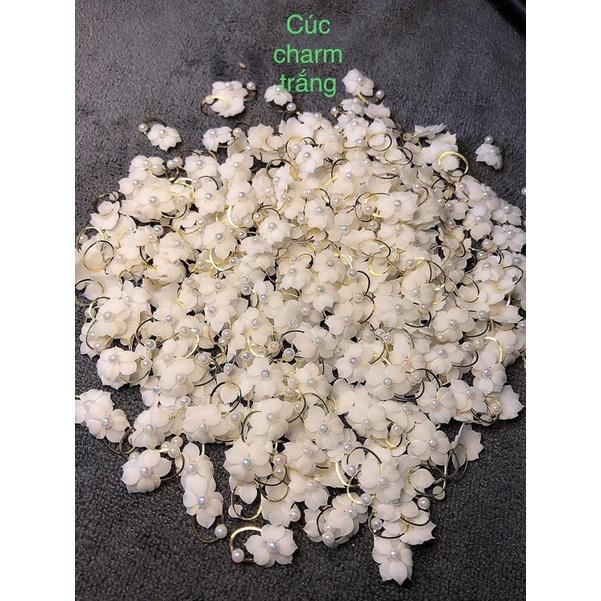 Hoa cúc charm trắng