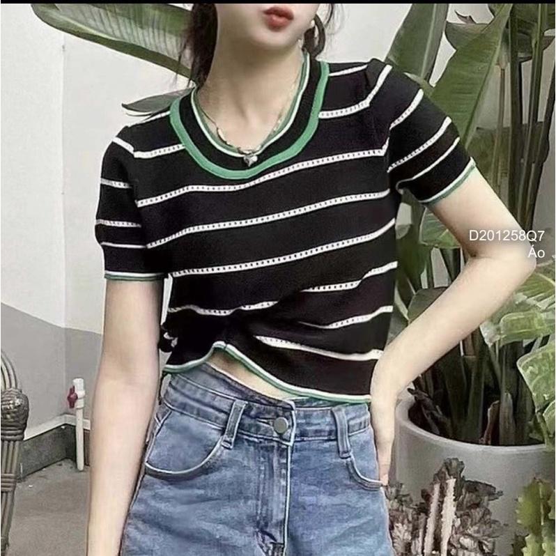 Áo len Montoghi dệt kim cổ tròn phối viền KẺ SỌC CHẤM LƯỚI độc đáo