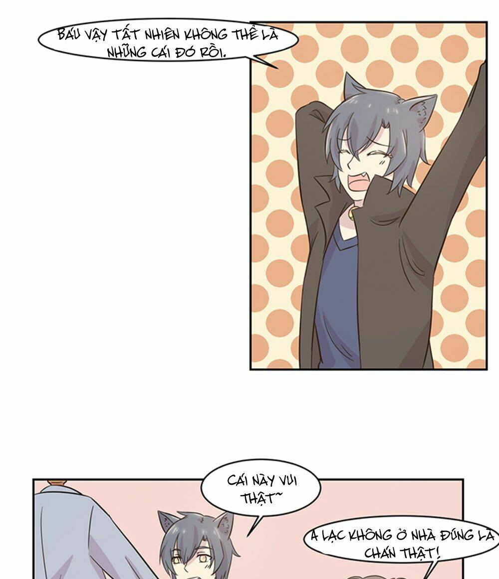 hai chú mèo totem chapter 21 12
