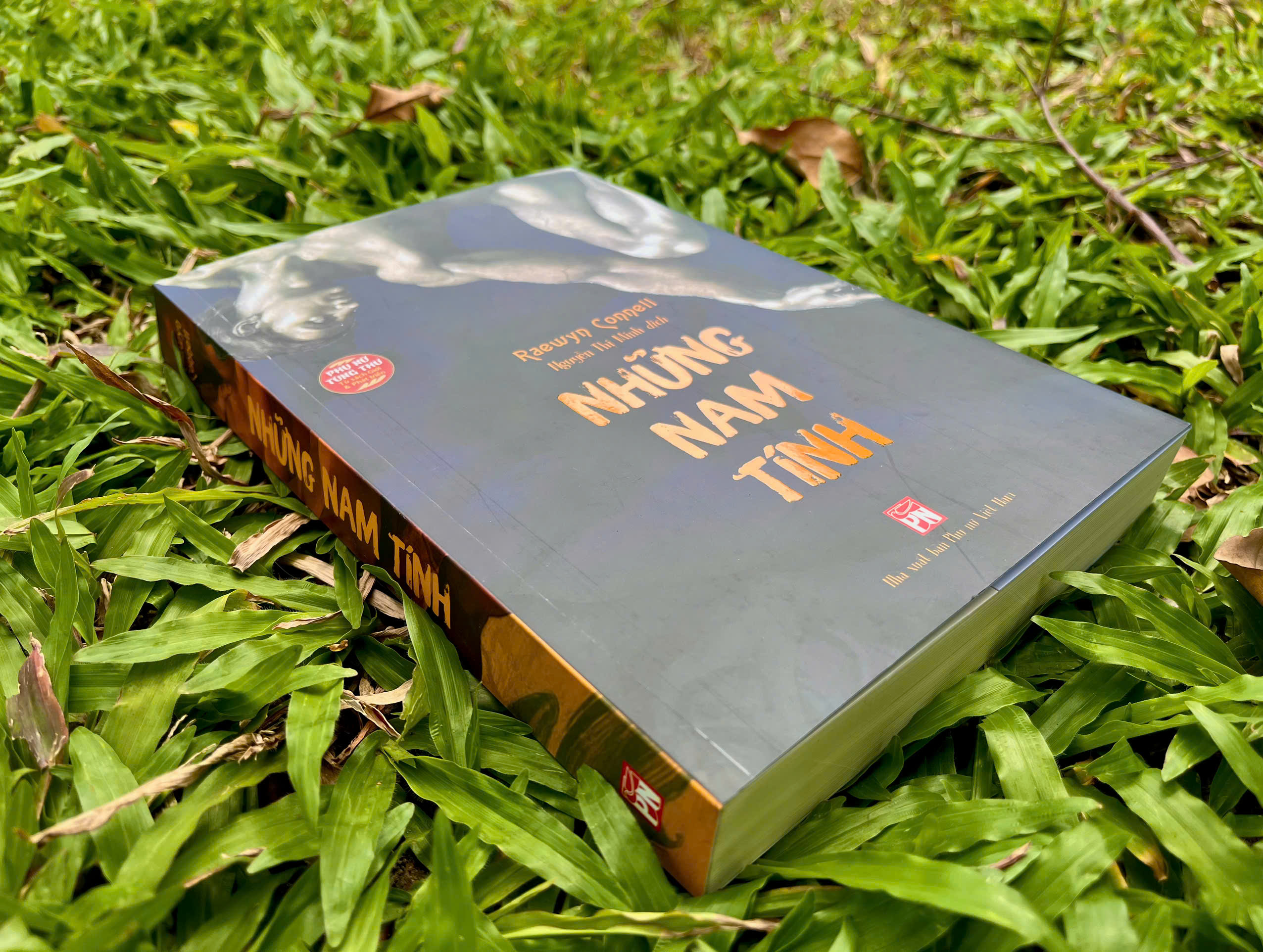 Sách Những Nam Tính: Một Công Trình Kinh Điển Về Nam Tính, Quyền Lực Và Xã Hội